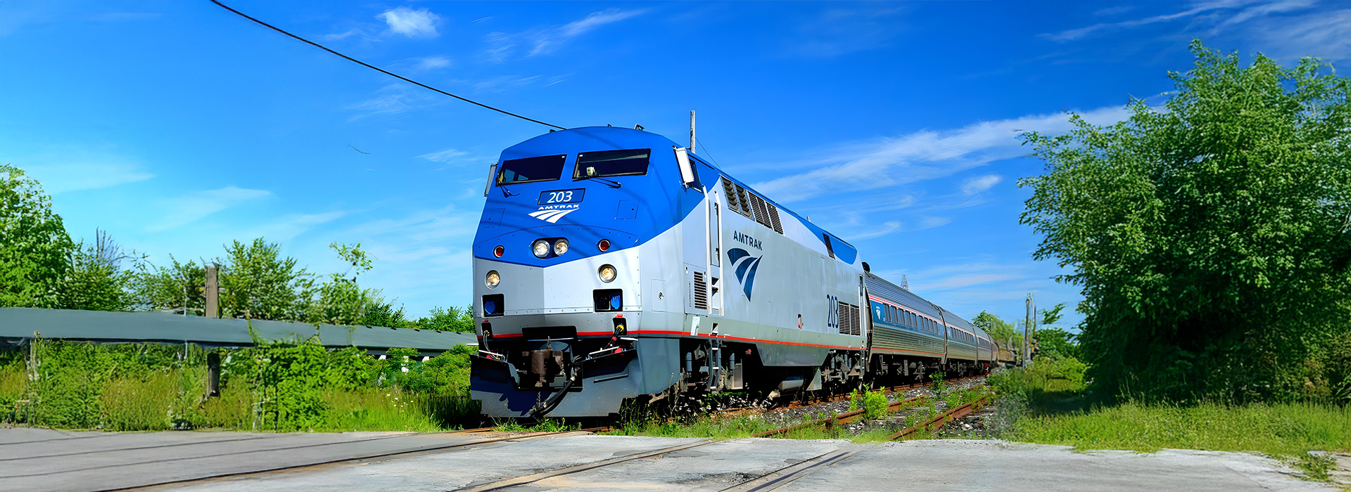 Modern Amtrak passenger train with a blue and silver locomotive traveling through lush greenery on a clear day.